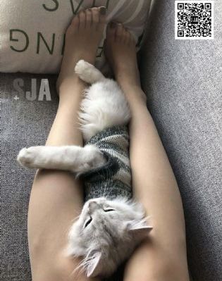 欧美a级在线免费观看_BD国语在线观看完整版