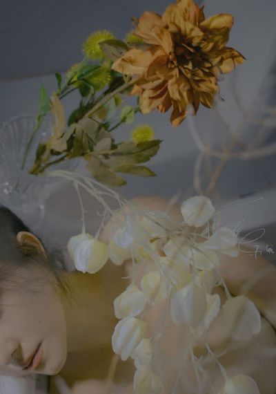 被卖到妓院的高H文禁脔倾奴_高清完整版