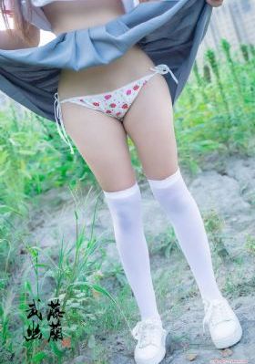 星光机构在线观看_在线观看视频